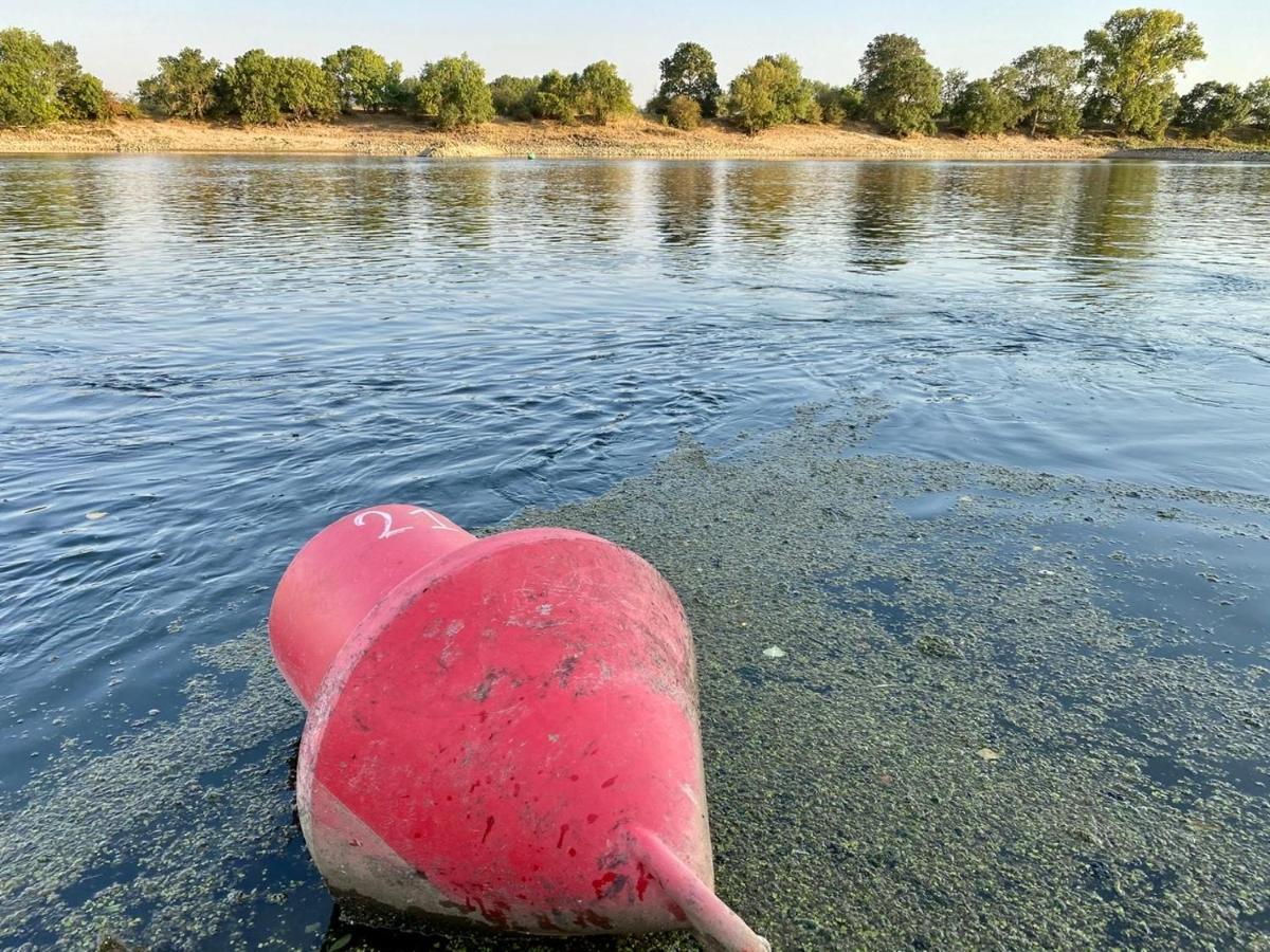 Gite Loirizon Vue Loire 4 Personnes Ingrandes  Exteriér fotografie