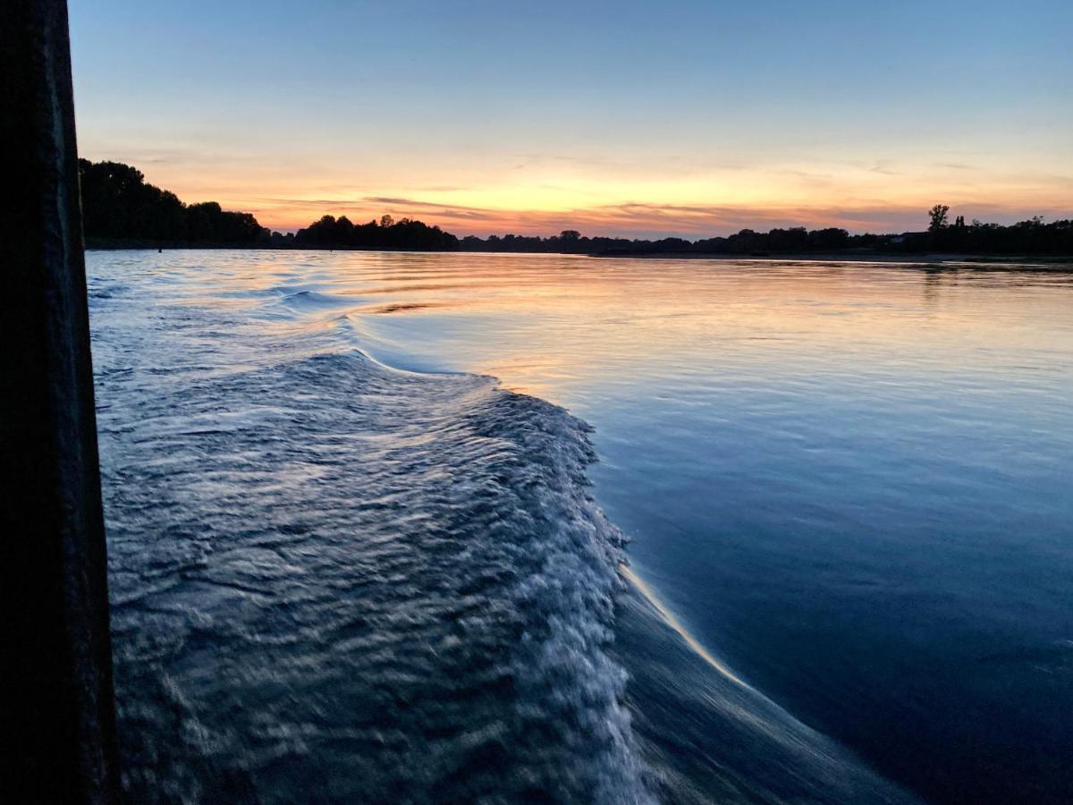 Gite Loirizon Vue Loire 4 Personnes Ingrandes  Exteriér fotografie