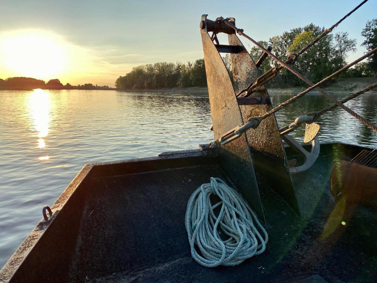 Gite Loirizon Vue Loire 4 Personnes Ingrandes  Exteriér fotografie