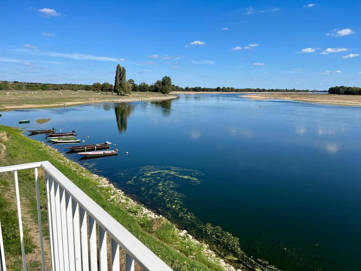 Gite Loirizon Vue Loire 4 Personnes Ingrandes  Exteriér fotografie