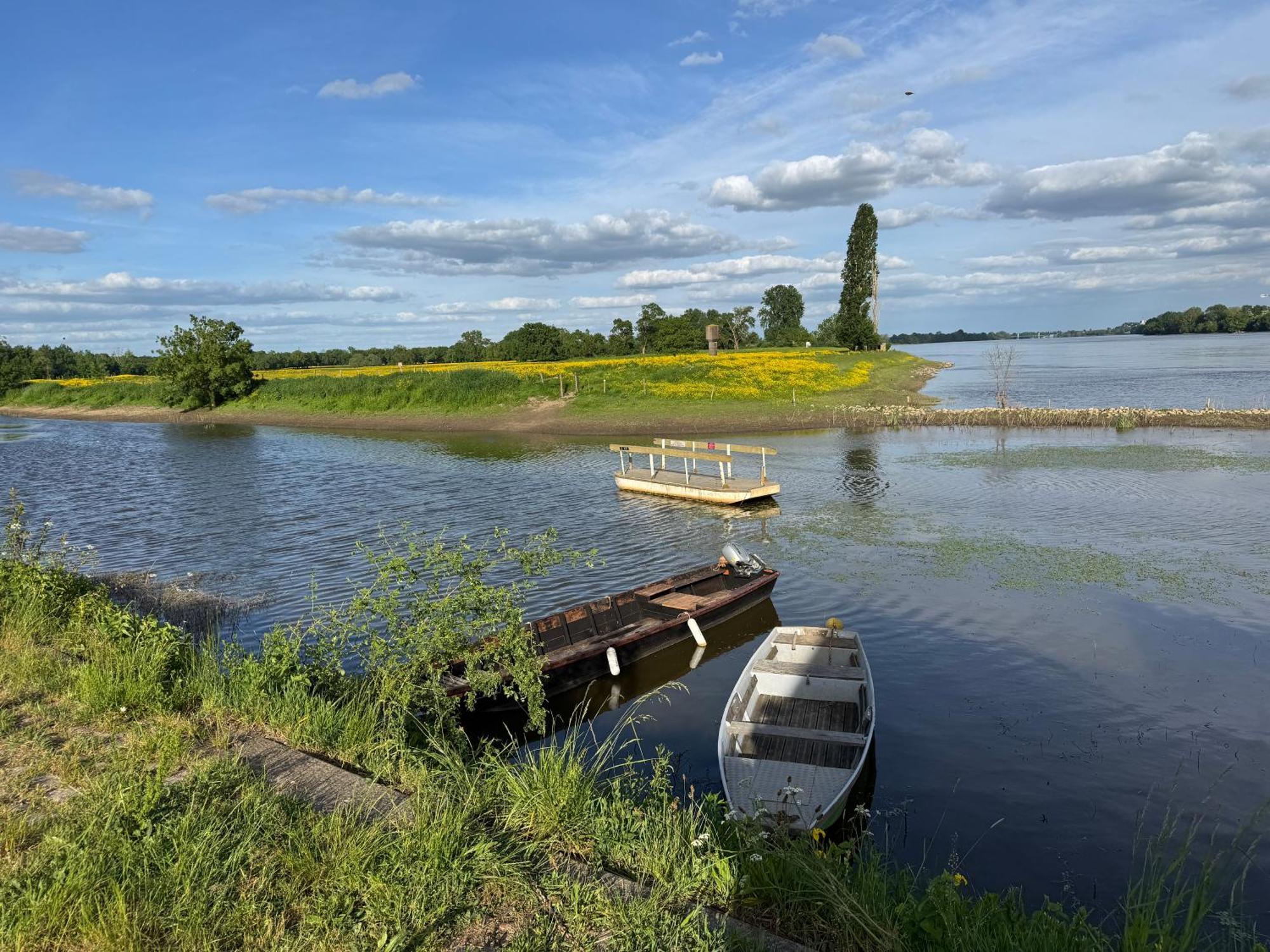 Gite Loirizon Vue Loire 4 Personnes Ingrandes  Exteriér fotografie